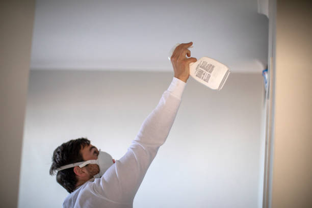 Best Emergency Mold Removal  in Essex Fells, NJ