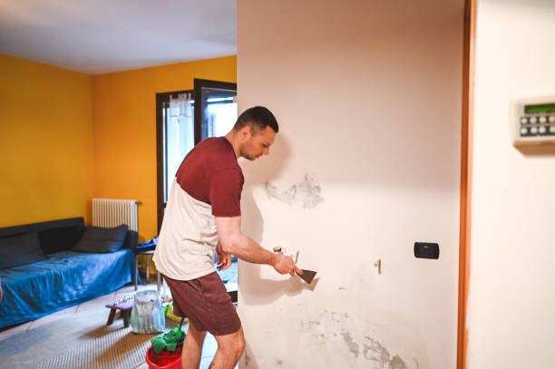 Best Black Mold Removal  in Essex Fells, NJ